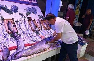 40 kiloluk yayın balığını görenler ’Canavar...