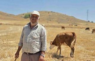 40 yıllık çoban sağlığını mesleğine borçlu...