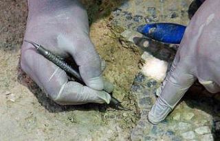 50 derece sıcaklıkta iğne ile tarih kazıyorlar