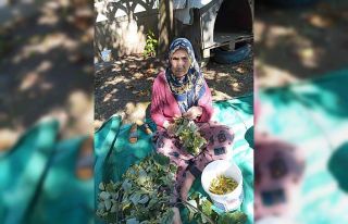 81 yaşındaki kadın her yerde aranıyor