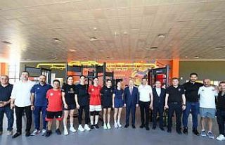 A Milli Takımlar, Dünya Şampiyonası öncesi uluslararası...