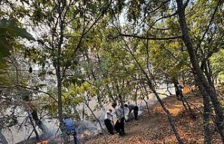 Adana Feke’de orman yangını ekipler havadan ve...