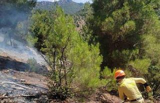 Adana Feke’deki orman yangını kontrol altına...