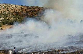 Adana Tufanbeyli’de orman yangını