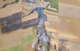 Adana’da çıkan orman yangını kontrol altına...