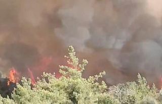 Adana’da orman yangını