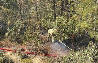 Adana’da orman yangını kontrol altına alındı