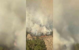 Adana’da orman yangınına 6 helikopter ve 2 uçakla...