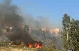 Adana’da yerleşim yeri çevresinde ağaçlık alanda...