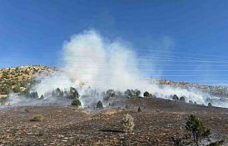 Adana’daki orman yangını kontrol altına alındı