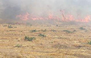 Adilcevaz’da arpa tarlasında yangın