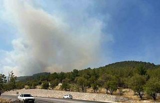 Adıyaman’da orman yangını