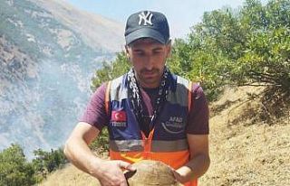 AFAD gönüllüsü yangın bölgesindeki kaplumbağayı...