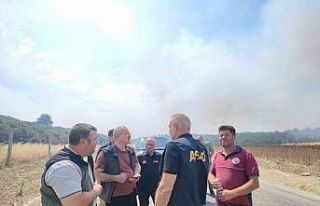 Afetlere Müdahale Genel Müdürü Ergin, tedbiren...