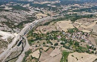 Ağaçlara adanmış ömür: 32 senede binlerce fidan...