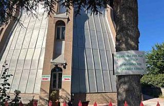 Ağaçlarda çevreye duyarlılık mesajları