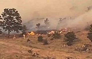 Aksaray’da ağaçlık alanda yangın