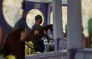 Alanya’da 3 gündür mahsur kalan dağ keçisini...