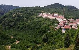 Alaplı’da 5 köyde seçim heyecanı yaşanacak