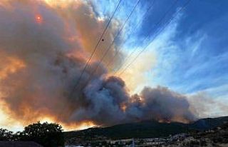 Alevler çiftlikleri tehdit etti, hayvanlar kurtarıldı