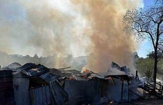 Alevlere teslim olan samanlık kullanılamaz hale...