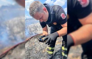 Alevlerin ortasında bir damla hayat