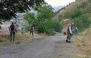 Ali Dağı’nda yangına karşı üst düzey önlem