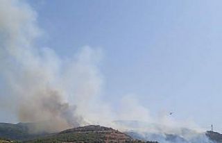 Aliağa’da makilik alanda yangın