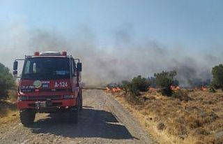 Aliağa’da otluk ve makilik alanda korkutan yangın