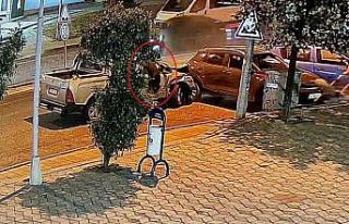 Alkollü sürücü 4 araca çarparak durabildi: Köpeği...