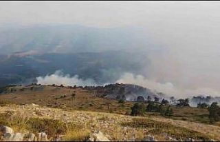 Amasya’da orman yangını