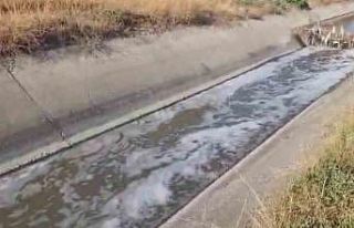 Amasya’da sulama kanalı kirlilikten köpürdü,...