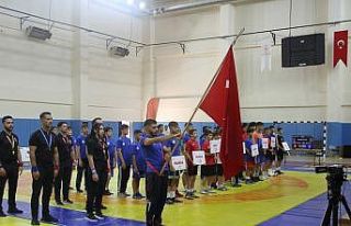 Anadolu Yıldızlar Ligi Türkiye Güreş Şampiyonası...