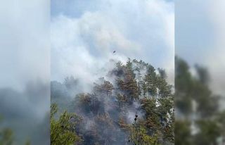 Anamur’da orman yangını