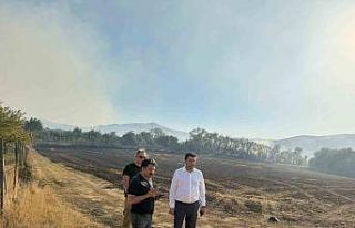 Anız yangını 3 köye sıçradı, yerleşim yerlerine...