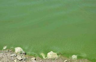 Ankara’da kuraklık alarmı: Barajlarda suların...