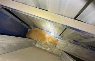 Antakya’da market duvarı arasında mahsur kalan...