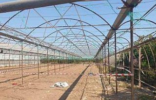 Antalya’da serada cinayet: 2 ölü