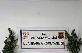 Antalya’da uyuşturucu operasyonu
