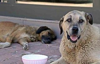 Antalya’nın denizi bile yanıyor: Termometreler...