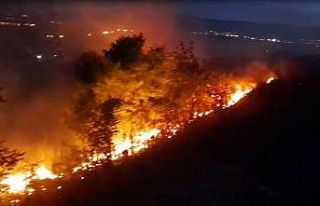 Ardahan’da anız ve fidanlık yangını geceyi aydınlattı