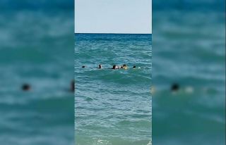 Arnavutköy’de denize giren kişi son anda ölümden...