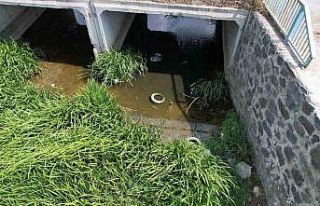 Arnavutköy’de dere yatağındaki kirlilik endişelendiriyor