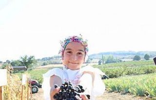 Aronya yetiştiriciliğinde Türkiye 3’üncüsü...