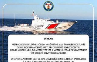 Artvin’de olumsuz hava şartları nedeniyle denize...