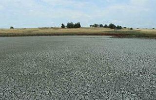 Aşırı sıcaklarda suları çekilen göletlerde...