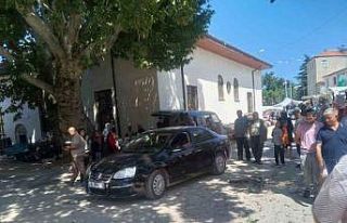 Asırlık çınarın dalı otomobilin üzerine düştü