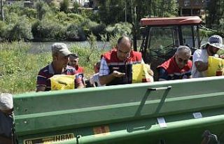 Aslandede köyünde 158 dekar alanda suni mera oluşturuldu