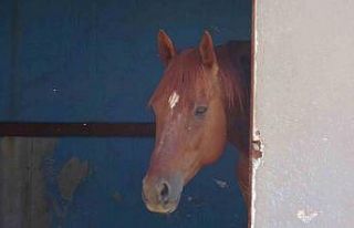 Attan beklenmedik hareket: Babasının kucağındaki...