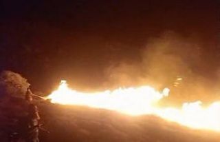 Avşa Adası’nda çıkan arazi yangını kontrol...